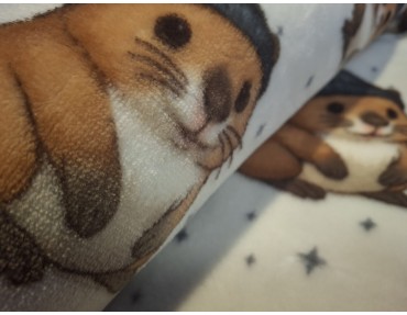 Léda capibara